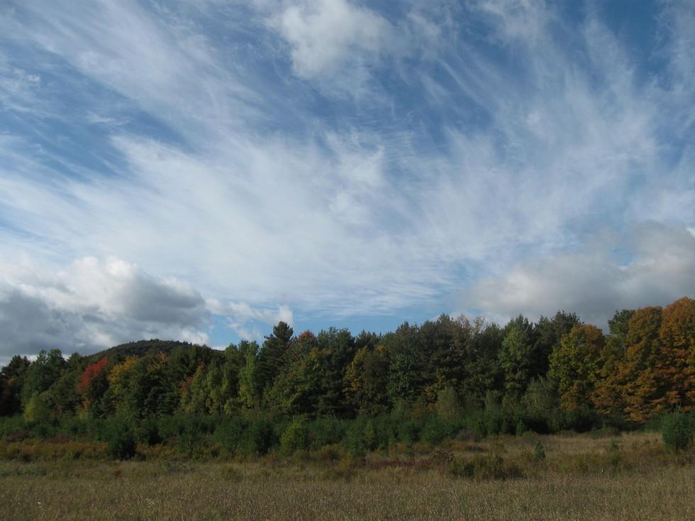 A sky with interesting clouds