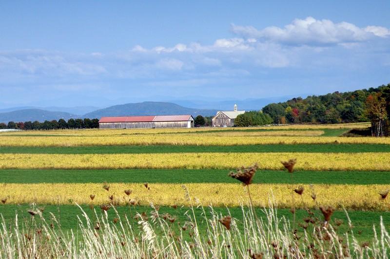 Whallons Bay Road farm fields.