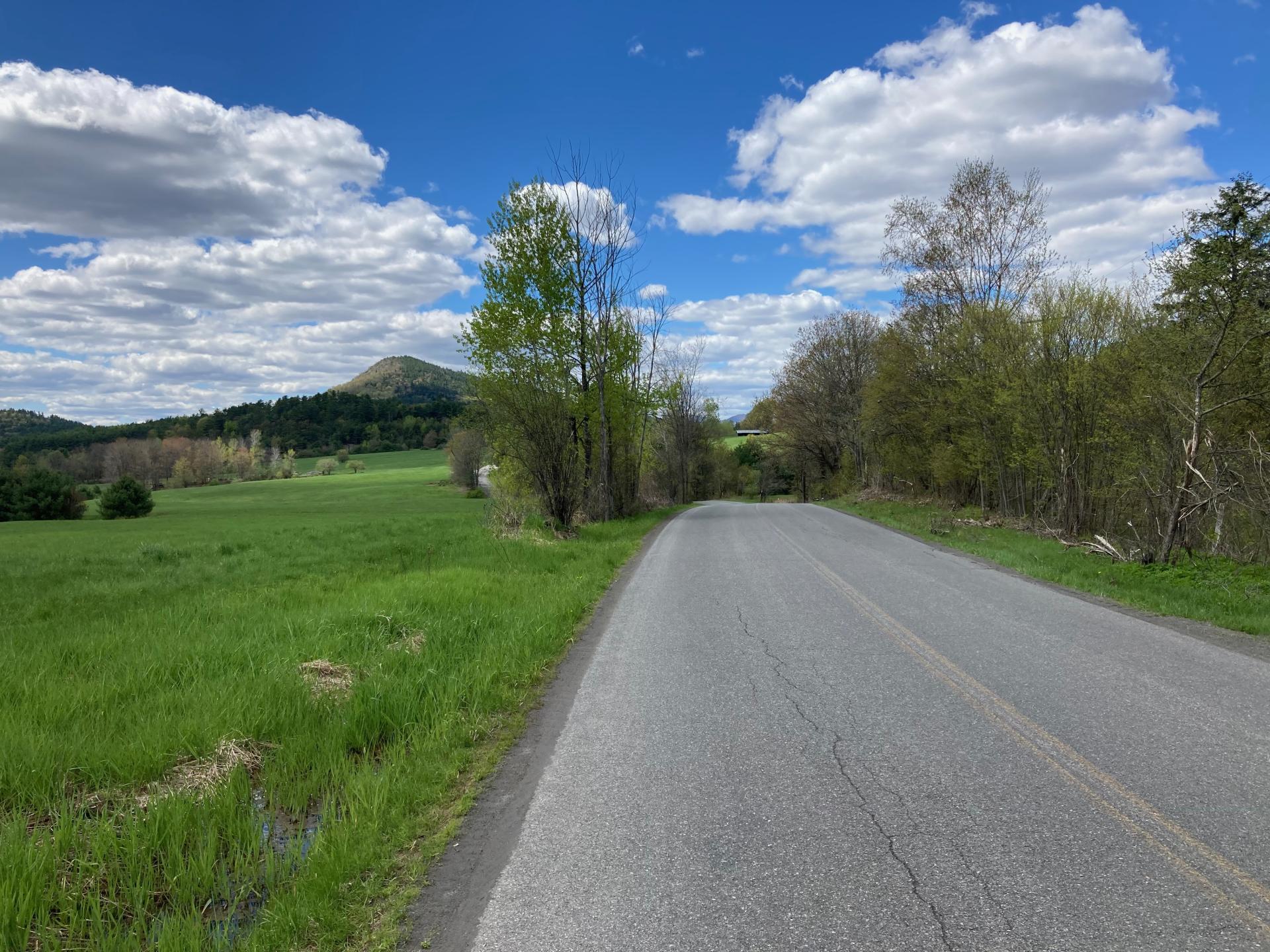 An open road surrounded by greenery and a mountain in the background.