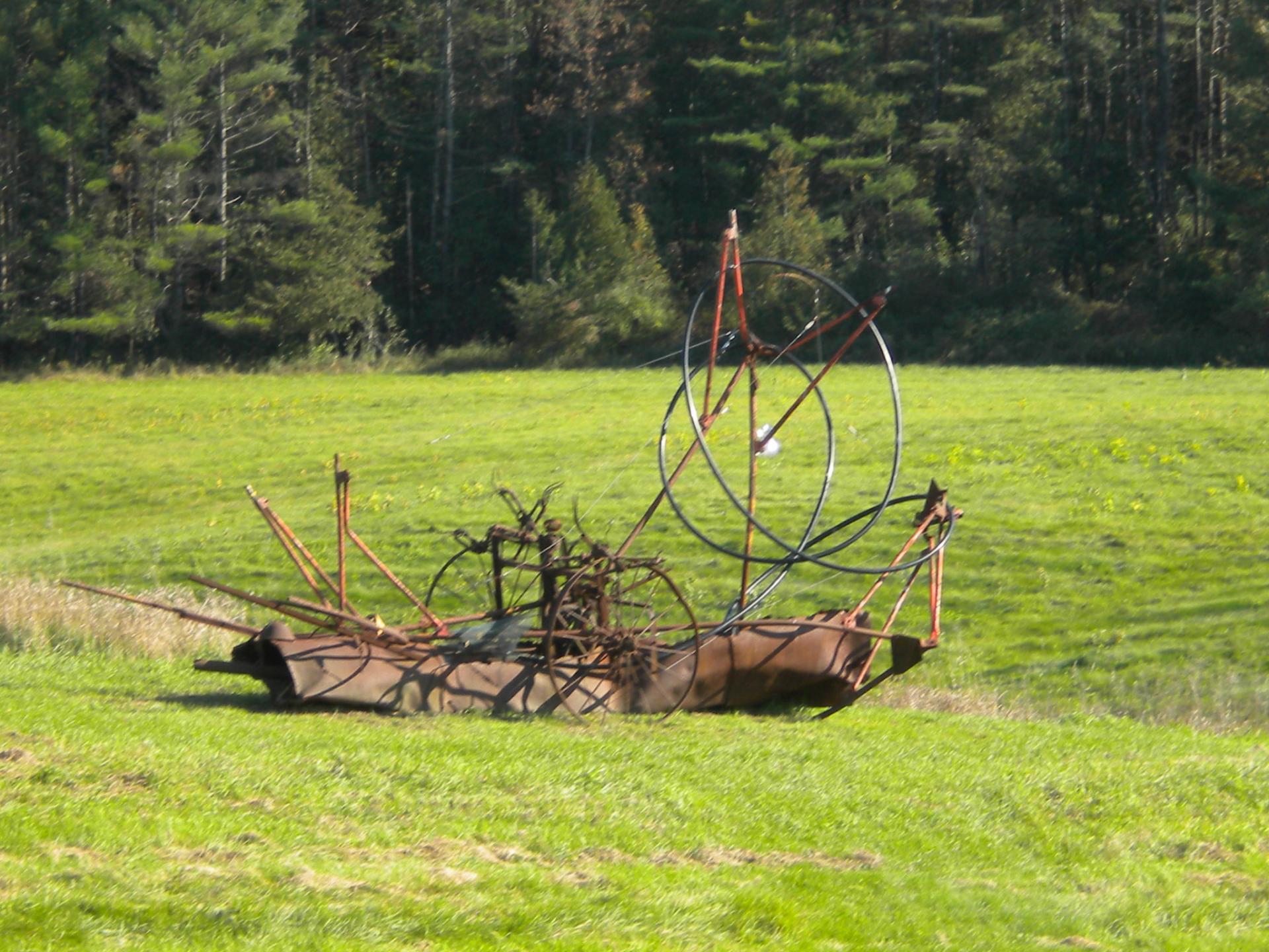 A metal sculpture on a lawn