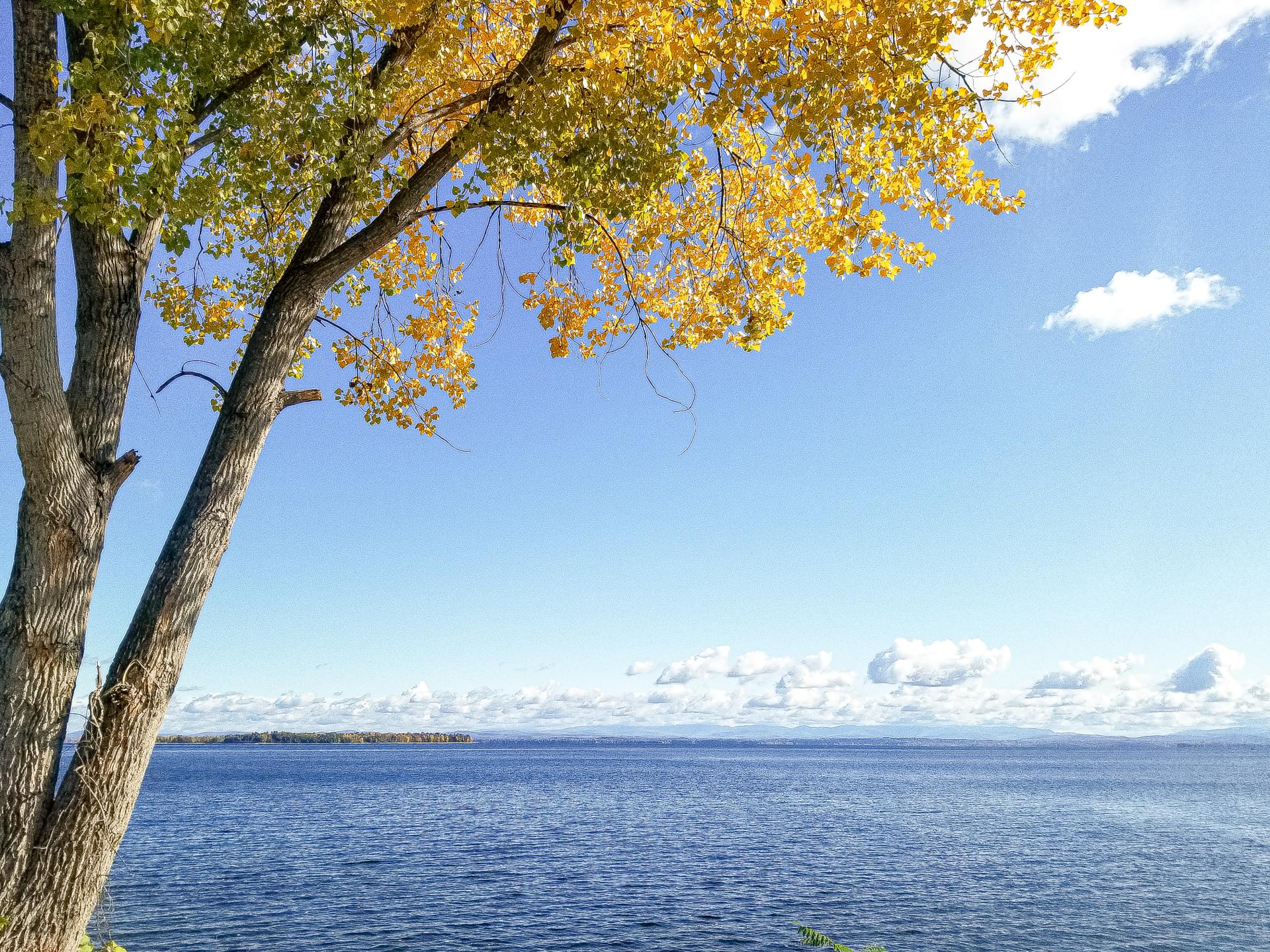 View of Lake Champlain from Port Douglas.