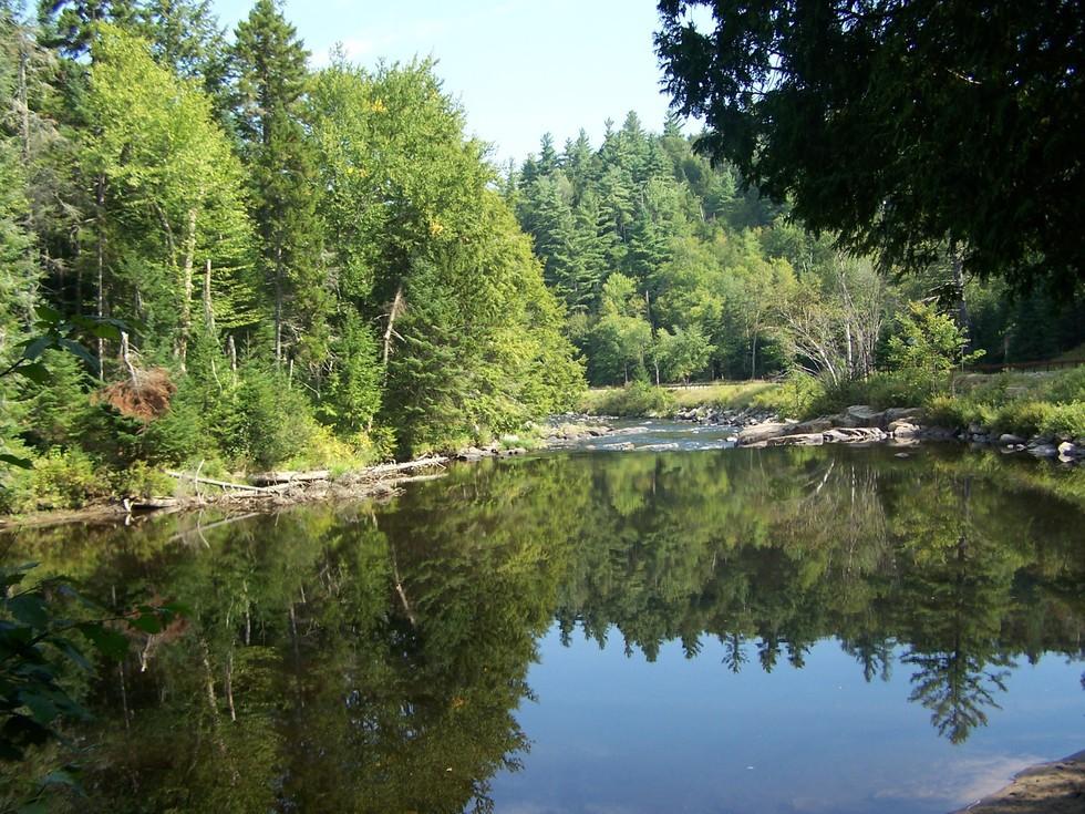 A view of a calm river