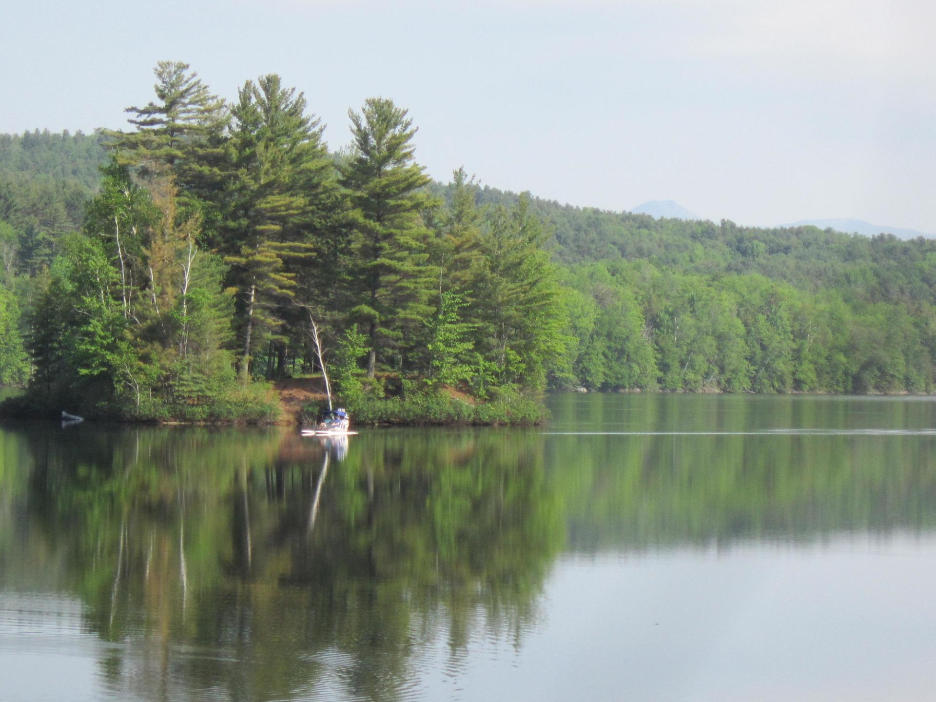 An island on a pond