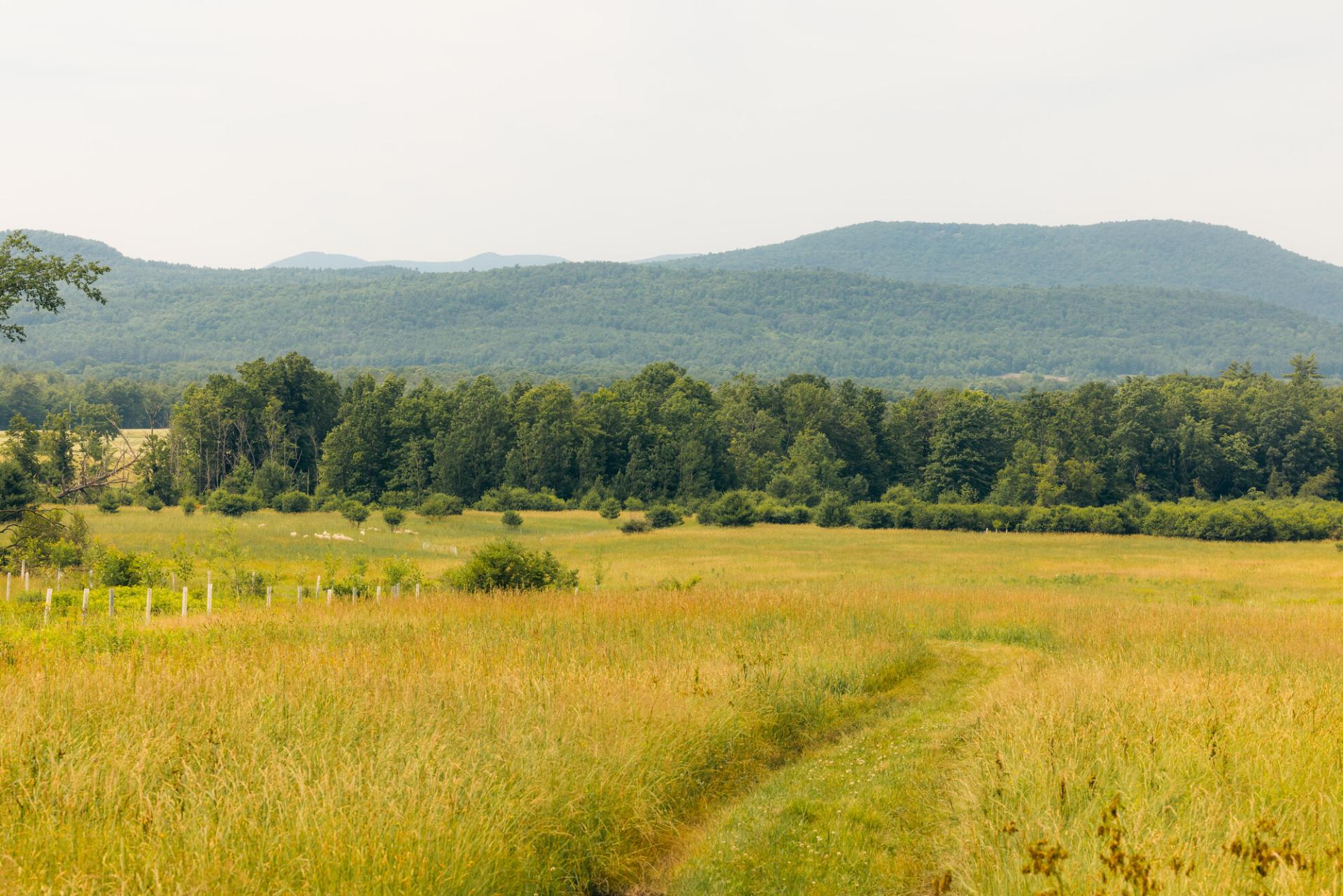 A wide open field with short mountains in the background