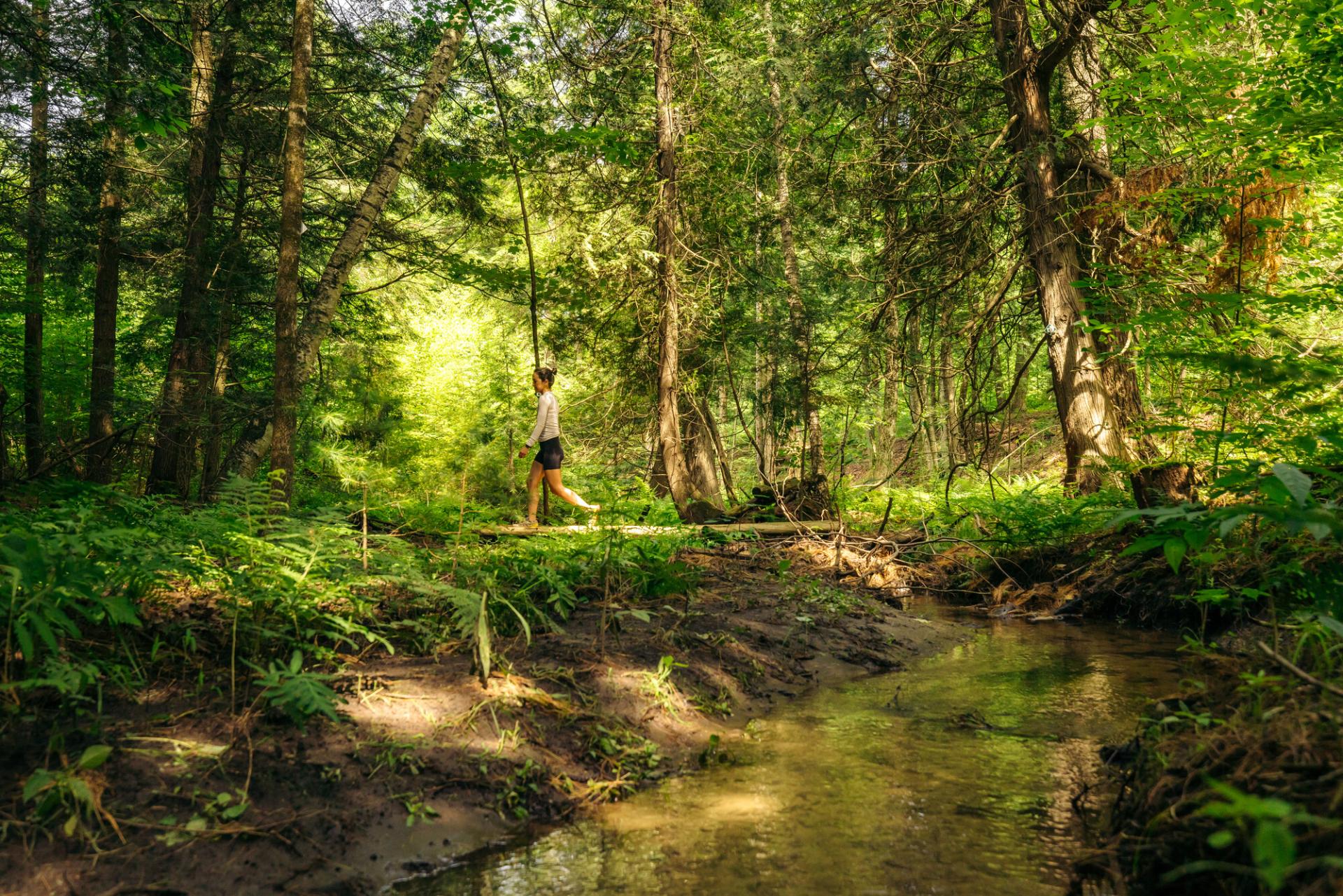 A hiker walking near a stream