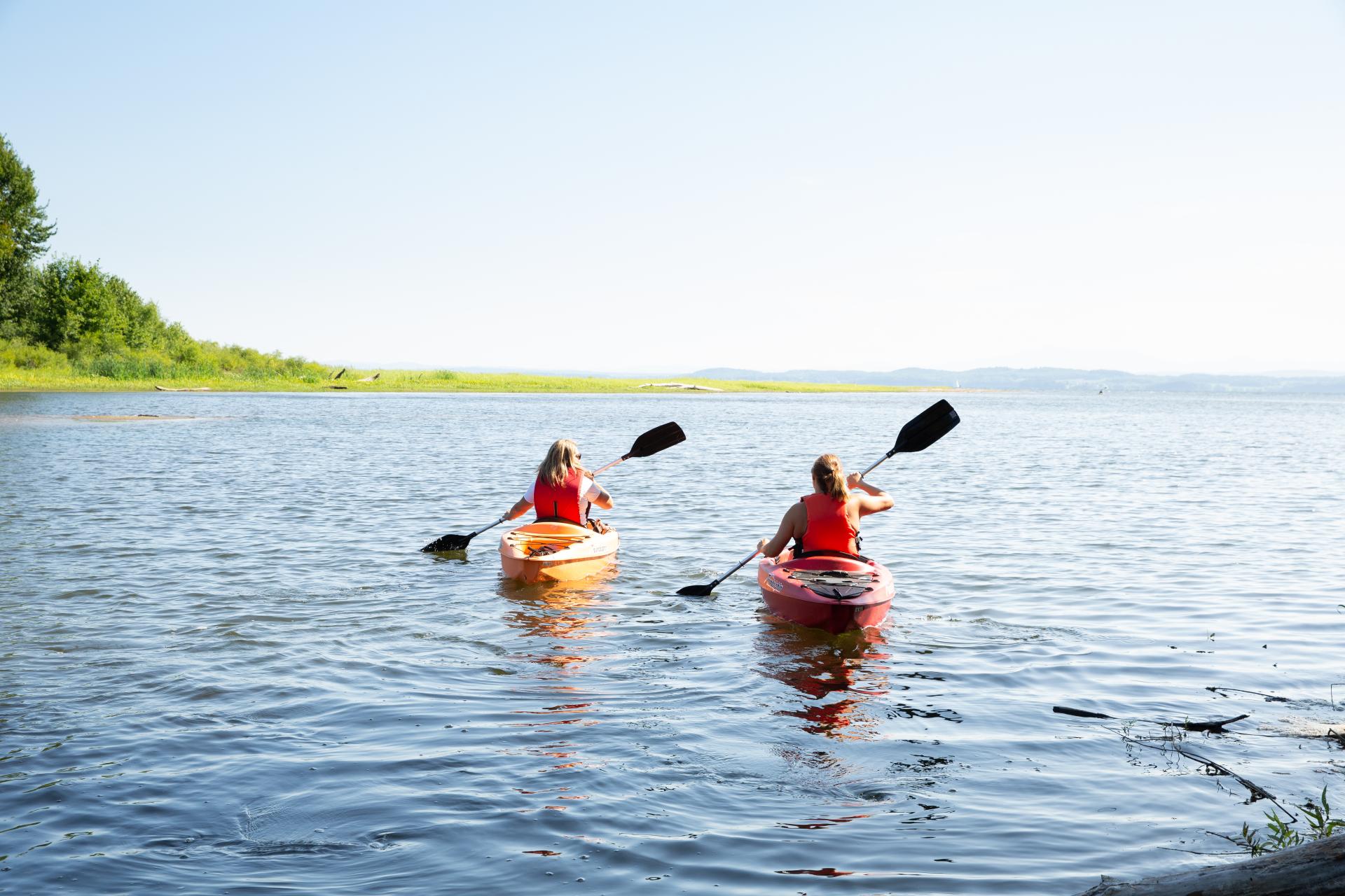 Paddlers on the bay