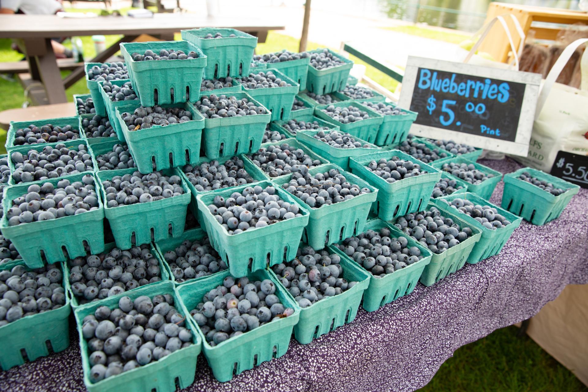 A stack of blueberry cartons