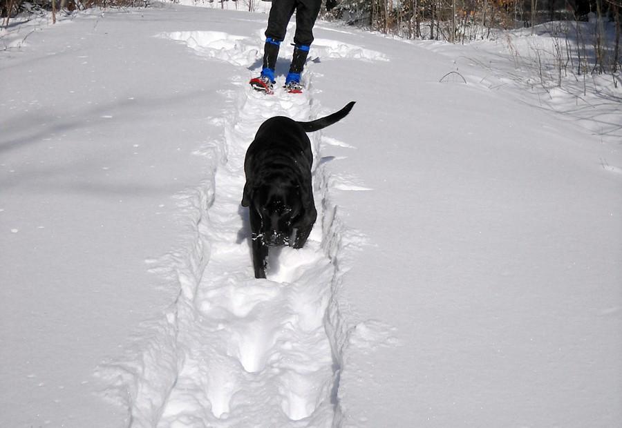 Nature and birding trails at Noblewood are open year round.