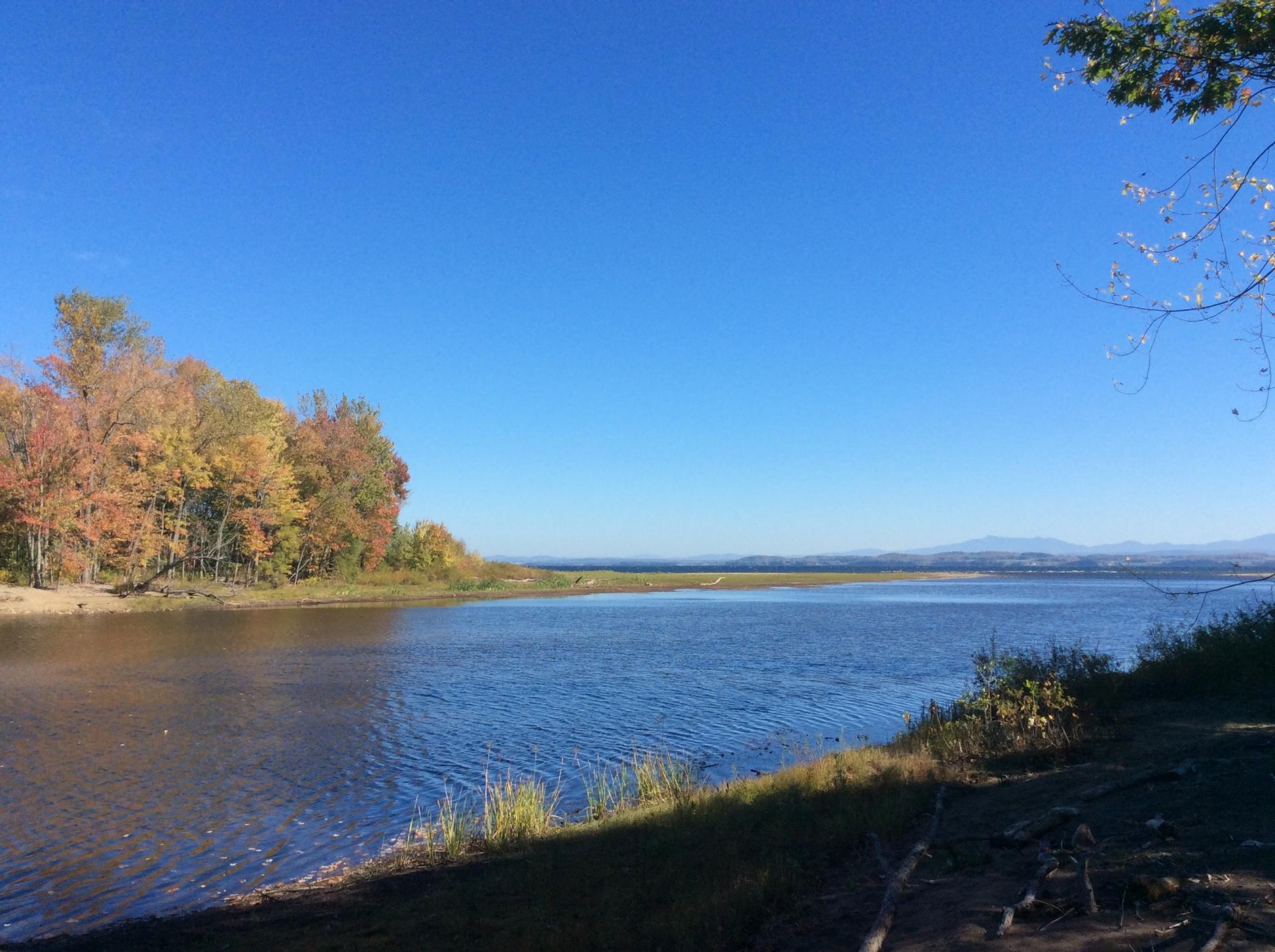 The fall colors in the bay are spectacular.