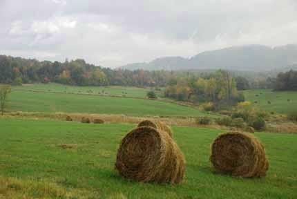 Hay bails near the Woods and Swale Trail