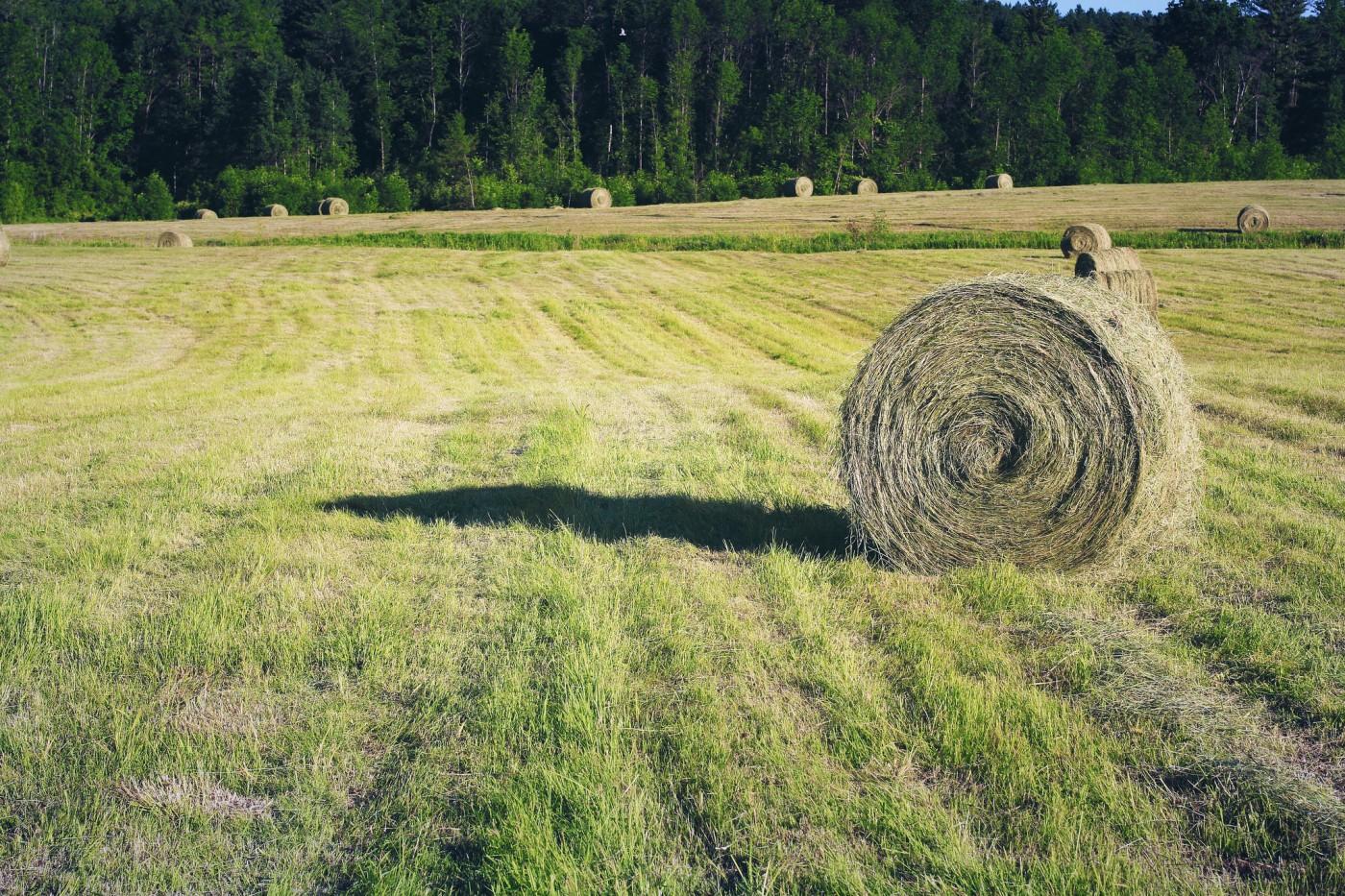 A hike along beautiful scenery near Triple Jade Farm in Willsboro.