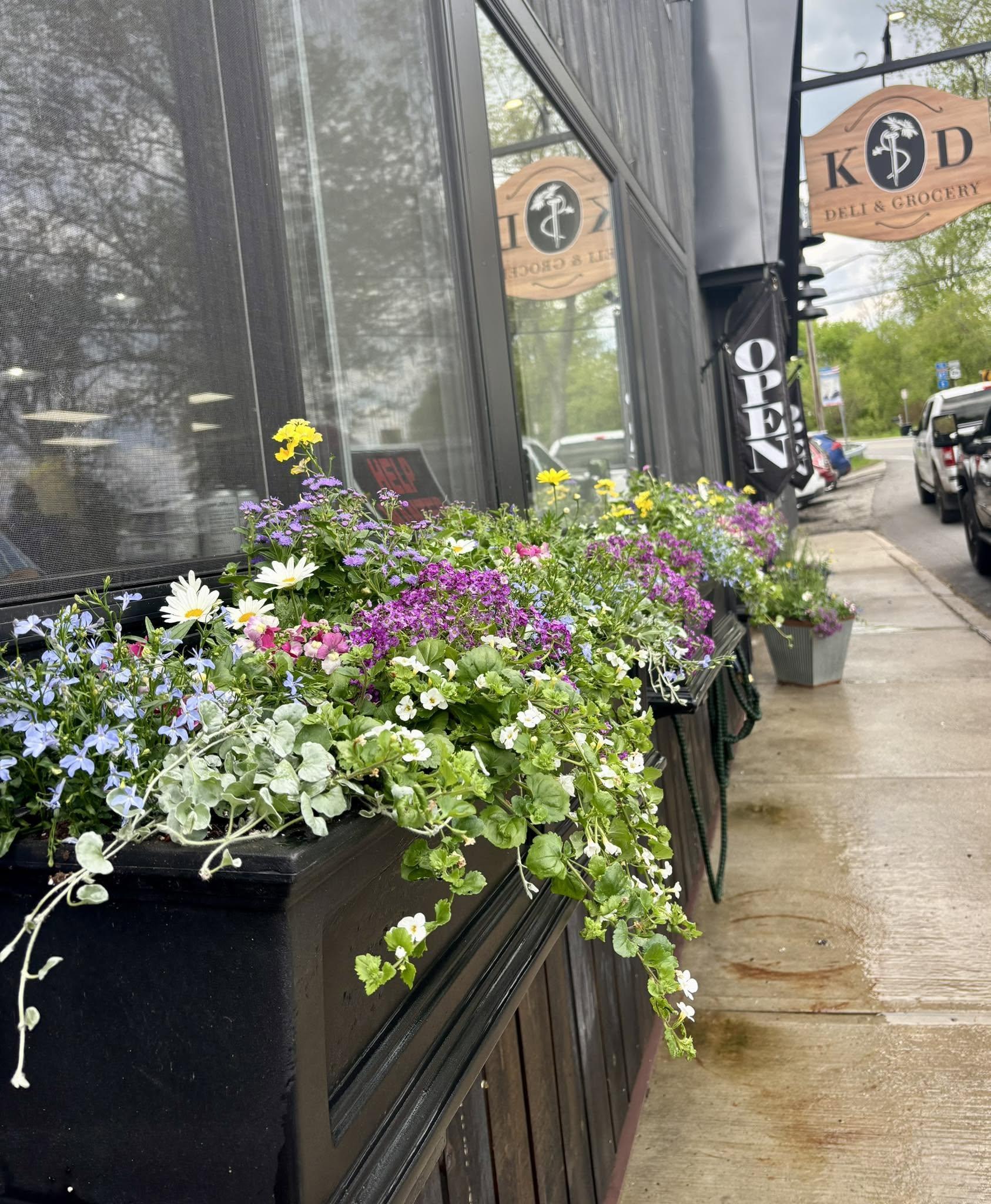 Flower boxes out front of K & D Deli 