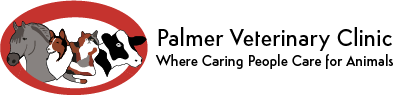 An illustration of a horse