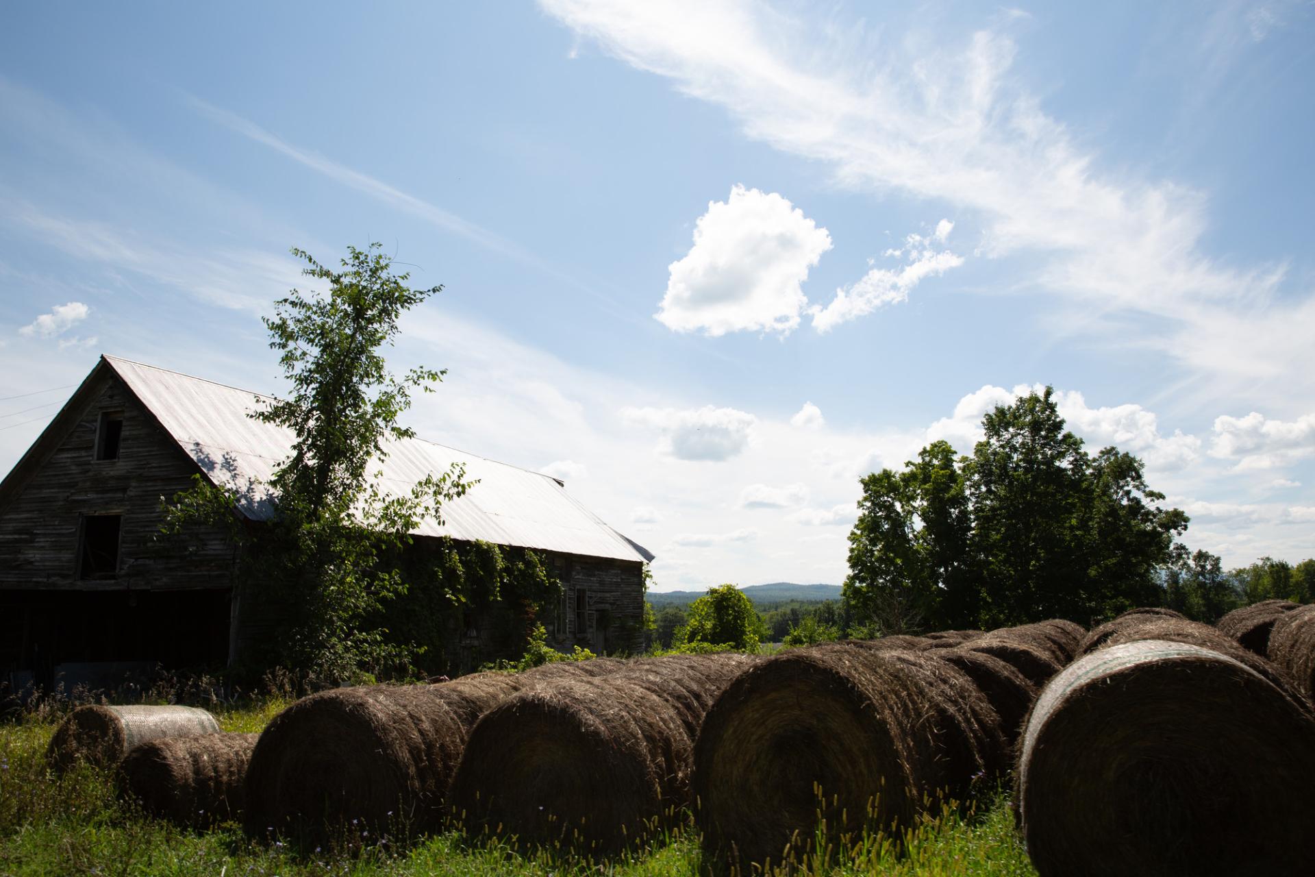 A farm with hay bales rolled up in the field. 