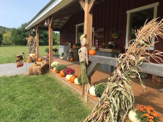 The covered porch decorated for fall