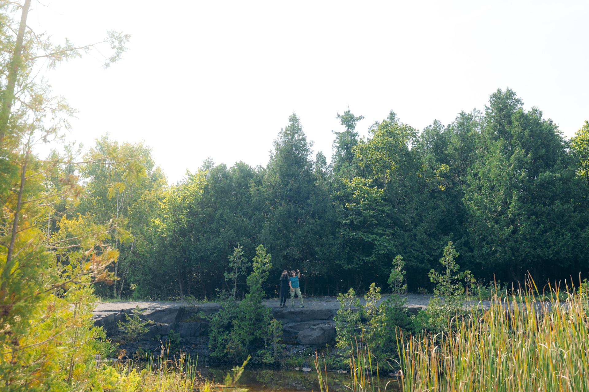 Two people walking on a trail