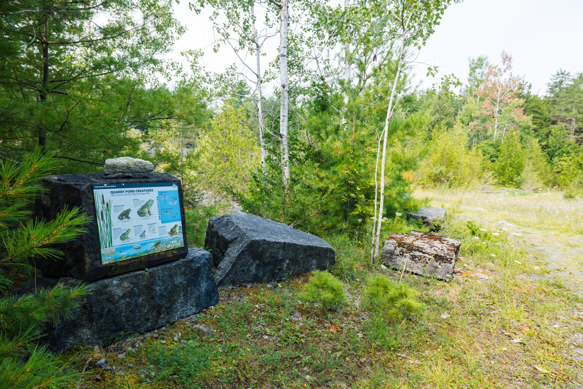 Interpretive signage along a trail