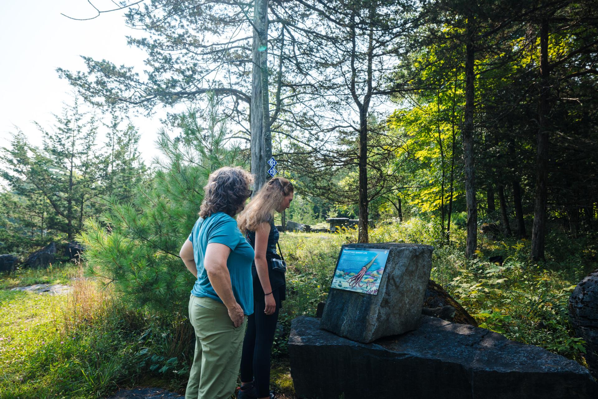 Two people looking at interpretive signage.