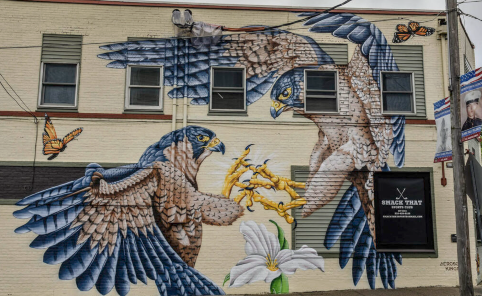 birds