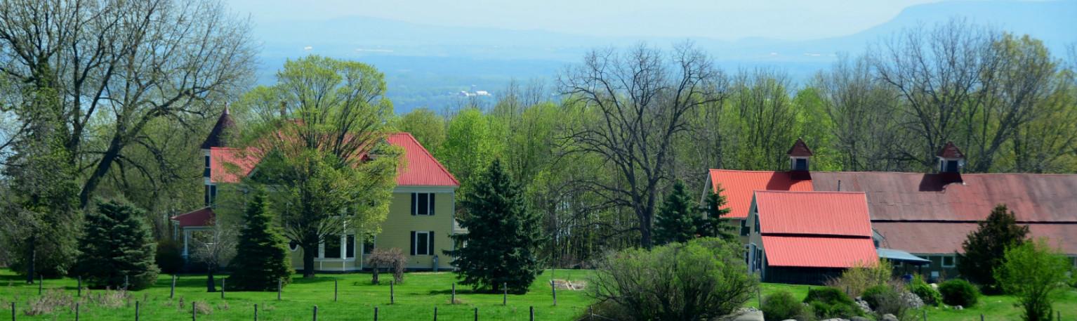 A backed up view of the historic home