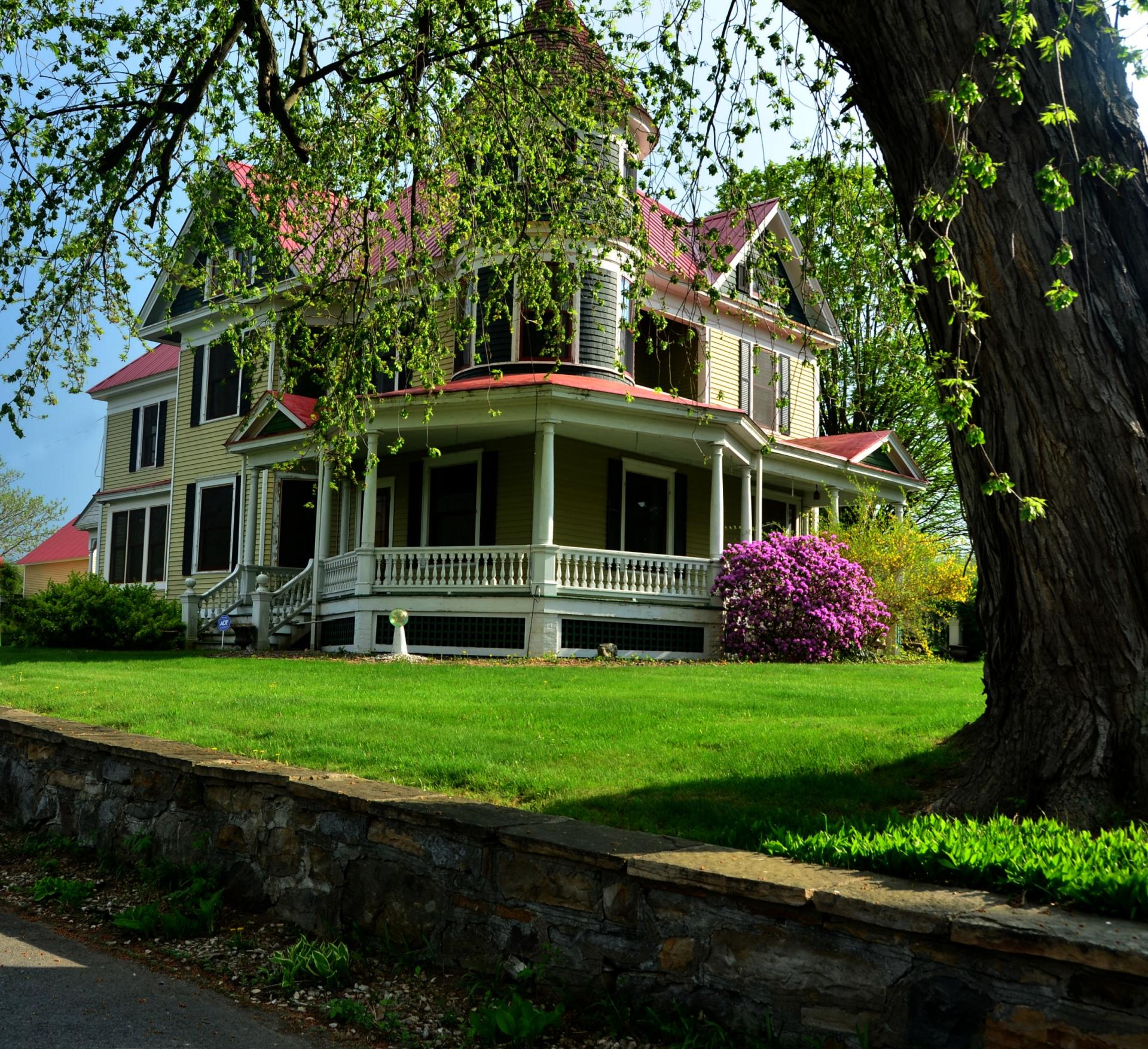 A view of the willow and stone retaining wall from the road.