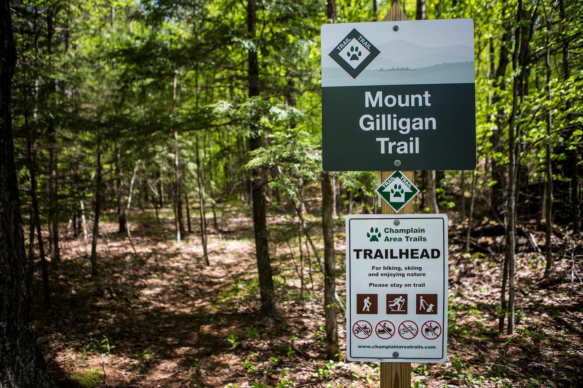 Mount Gilligan trail head